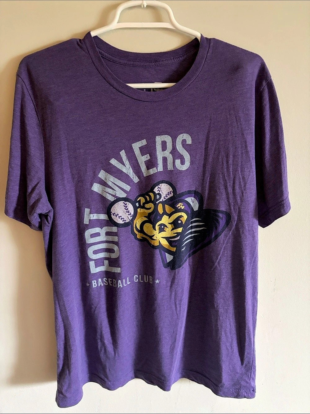 Graphic Baseball Tee Purple & Gray Large